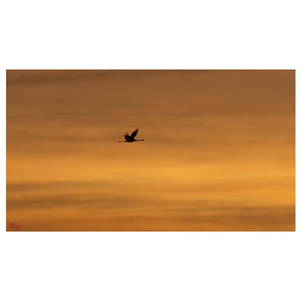 PHOTO84, CLUB, 84 , LUBERON